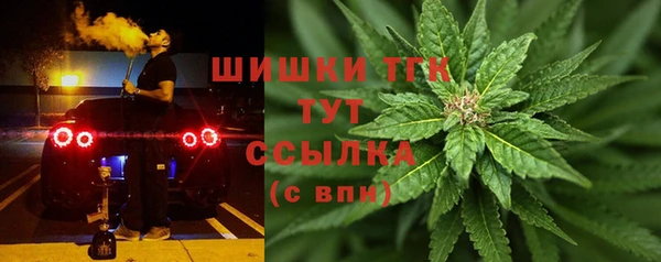PSILOCYBIN Сосновоборск