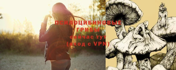 метадон Белокуриха