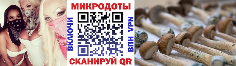 Галлюциногенные грибы Magic Shrooms  где найти   Верхотурье 
